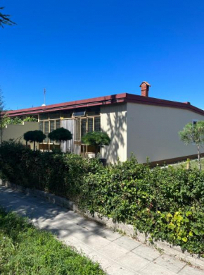 Pine Tree Holiday House, Koper